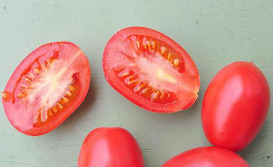 غوليفر الطماطم: النمو والرعاية