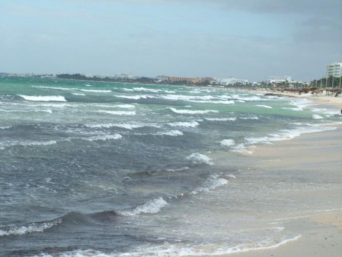 أتساءل ما هو نوع البحر في تونس؟